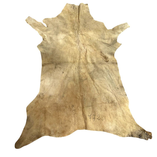 Sika Deer Skin Fur Rug 57"Lx47"W