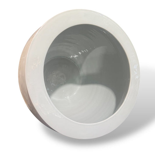 Large Chinese Celadon Porcelain Fish Bowl Planter 17Wx14H