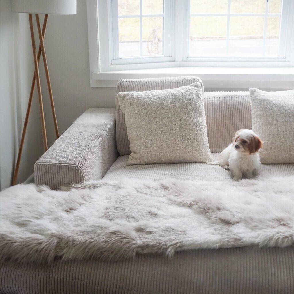 Cozy Cotton White Boucle Cover w/ Down Pillow 20x20 PAIR