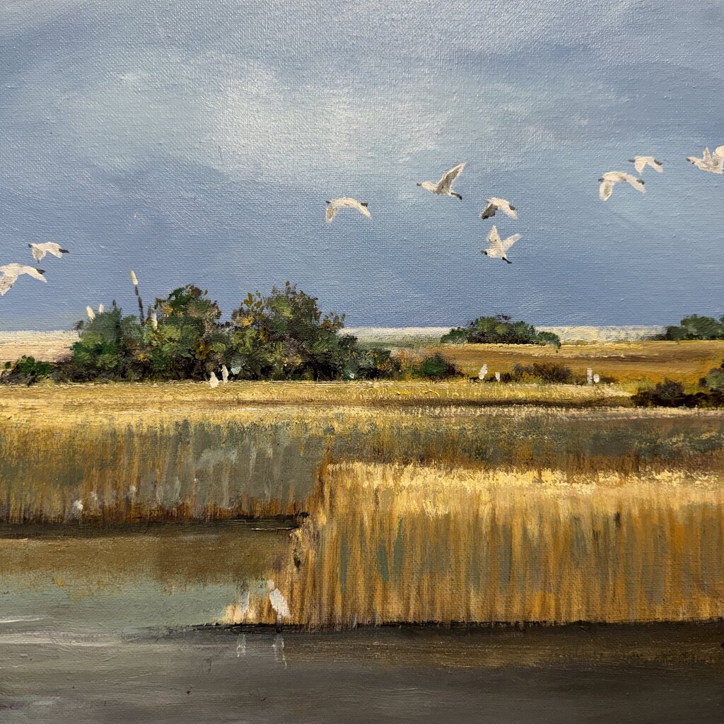 "Cloud Parade" Florida Marsh Landscape Original Oil on Canvas by Listed Artist Joe Suroveic 43Lx55H