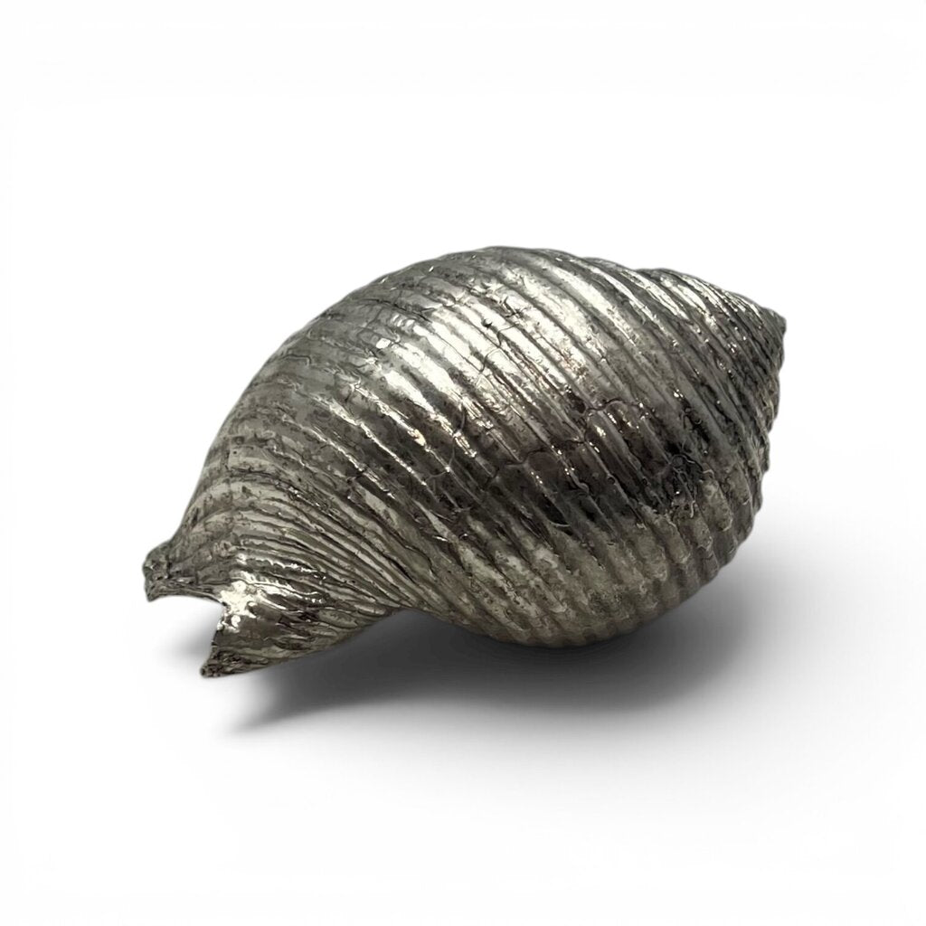 Silvered Seashell Decorative Object