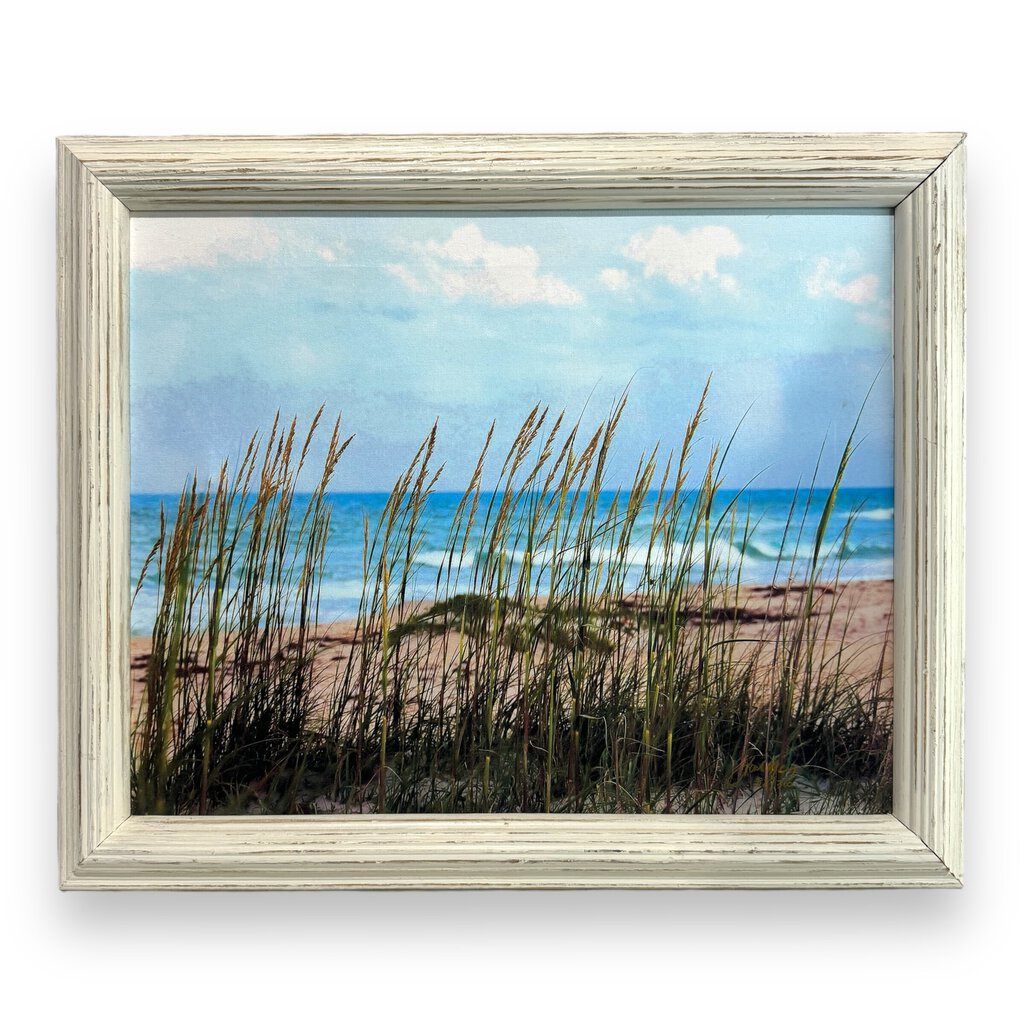 Framed Beach Grass & Ocean Photography on Canvas Limited Edition 82/310 by: Jack Macey Photography, Vero Beach 24Lx20H