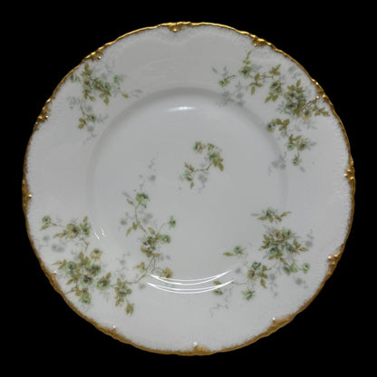 1903 Theodore Haviland Limoges France 55pc Coffee & Luncheon Set Green & Gold Pattern Porcelain