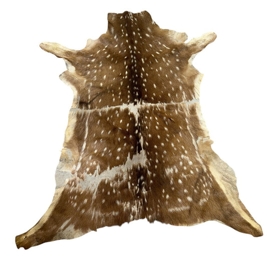 Sika Deer Skin Fur Rug 57"Lx47"W