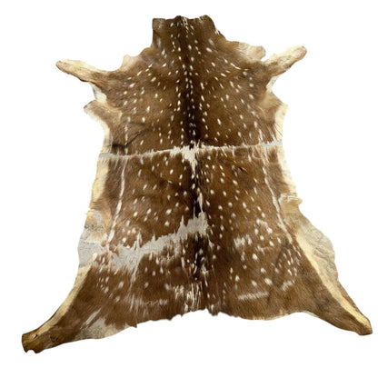 Sika Deer Skin Fur Rug 57"Lx47"W