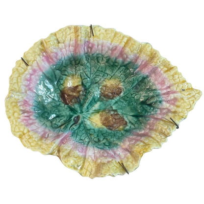 Antique Begonia Green & pink Leaf Plate 8L x 6W