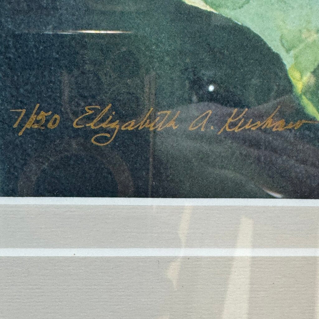 Large Signed Limited Edition Lithograph of Water Lillies and Swiming Faries #7/150 by: Elizabeth Kershaw