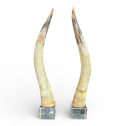 Pair of Large Vintage Steer Horns Mounted in Lucite Cube Bases 35' Tall
