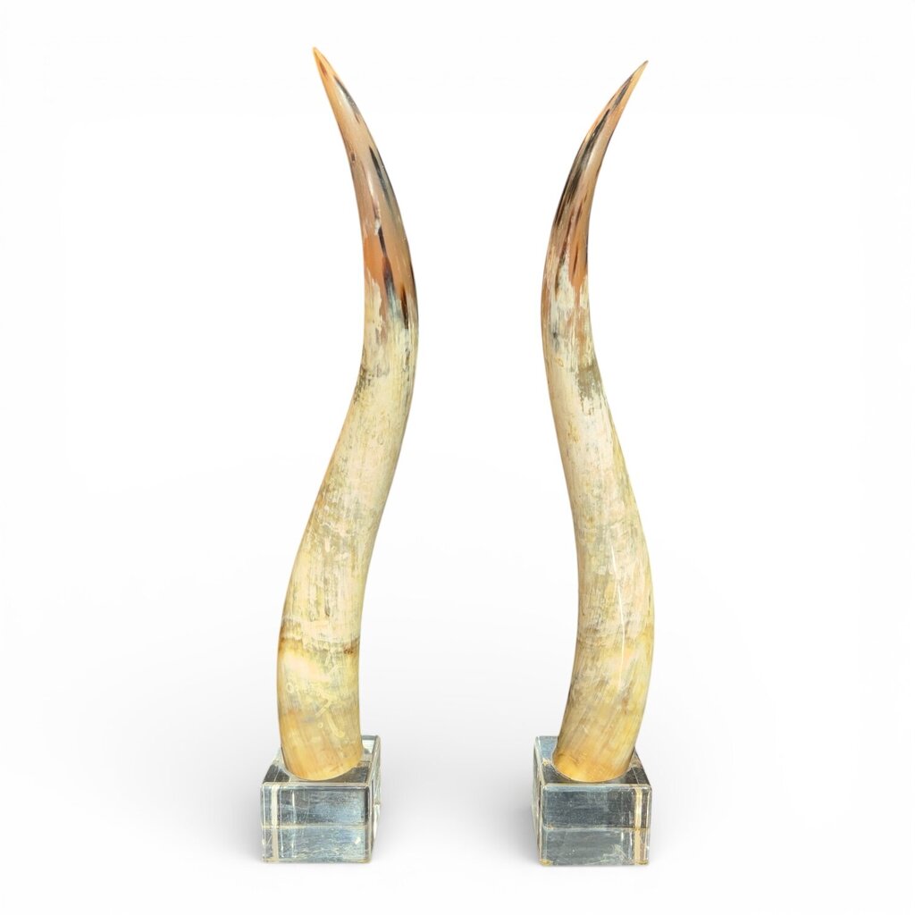 Pair of Large Vintage Steer Horns Mounted in Lucite Cube Bases 35' Tall