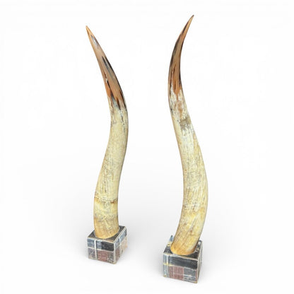Pair of Large Vintage Steer Horns Mounted in Lucite Cube Bases 35' Tall