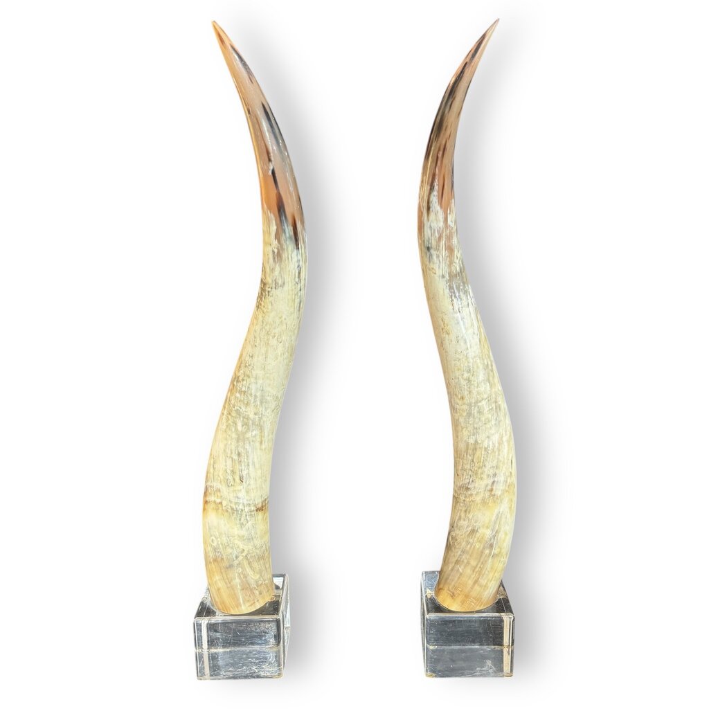 Pair of Large Vintage Steer Horns Mounted in Lucite Cube Bases 35' Tall