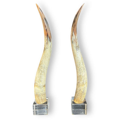 Pair of Large Vintage Steer Horns Mounted in Lucite Cube Bases 35' Tall