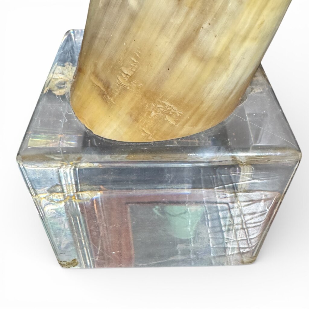 Pair of Large Vintage Steer Horns Mounted in Lucite Cube Bases 35' Tall