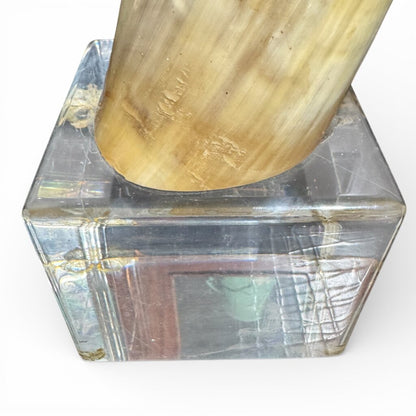 Pair of Large Vintage Steer Horns Mounted in Lucite Cube Bases 35' Tall