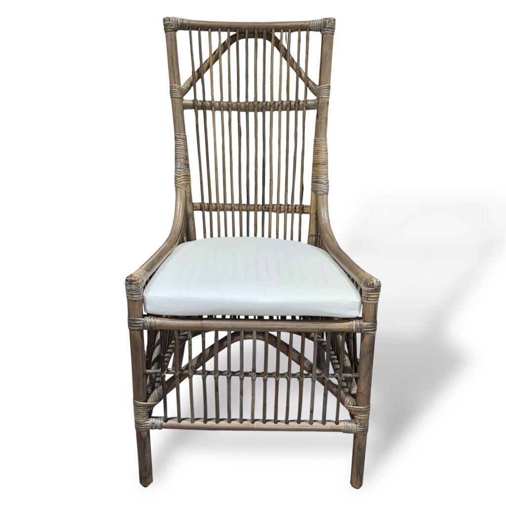 Rattan Accent Chair w/ Cushion