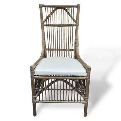 Rattan Accent Chair w/ Cushion