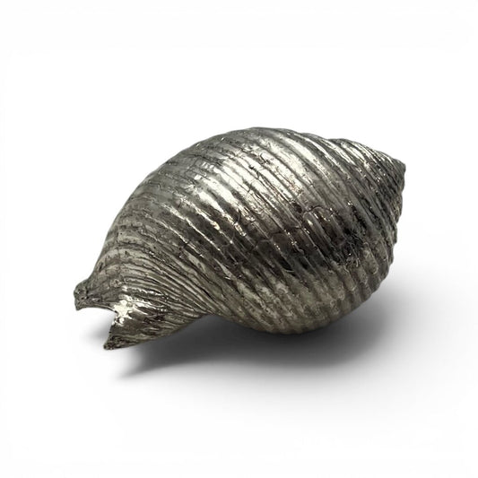 Silvered Seashell Decorative Object