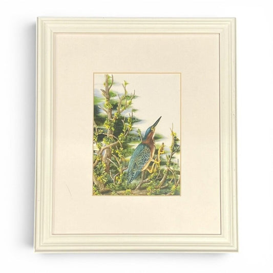 Joan Turner Green Heron Print 14Lx12Wx.5H
