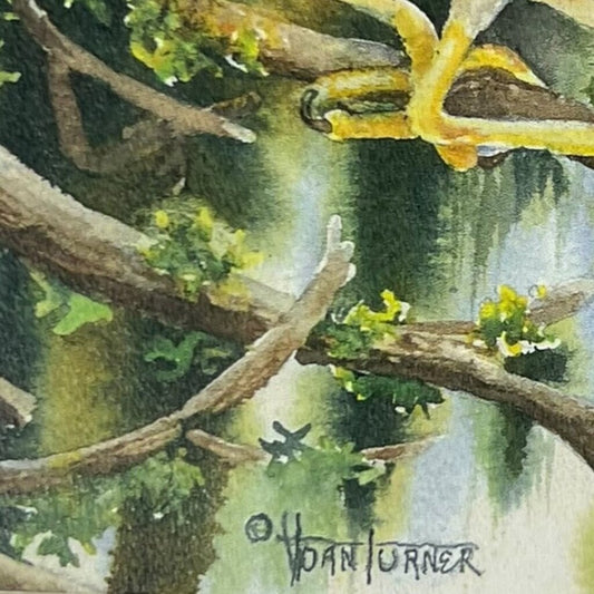Joan Turner Green Heron Print 14Lx12Wx.5H