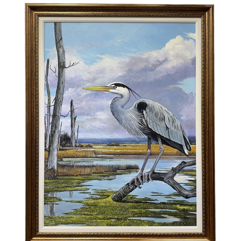 Great Blue Crane