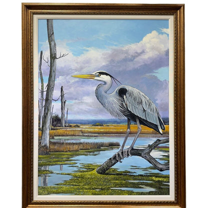 Great Blue Crane