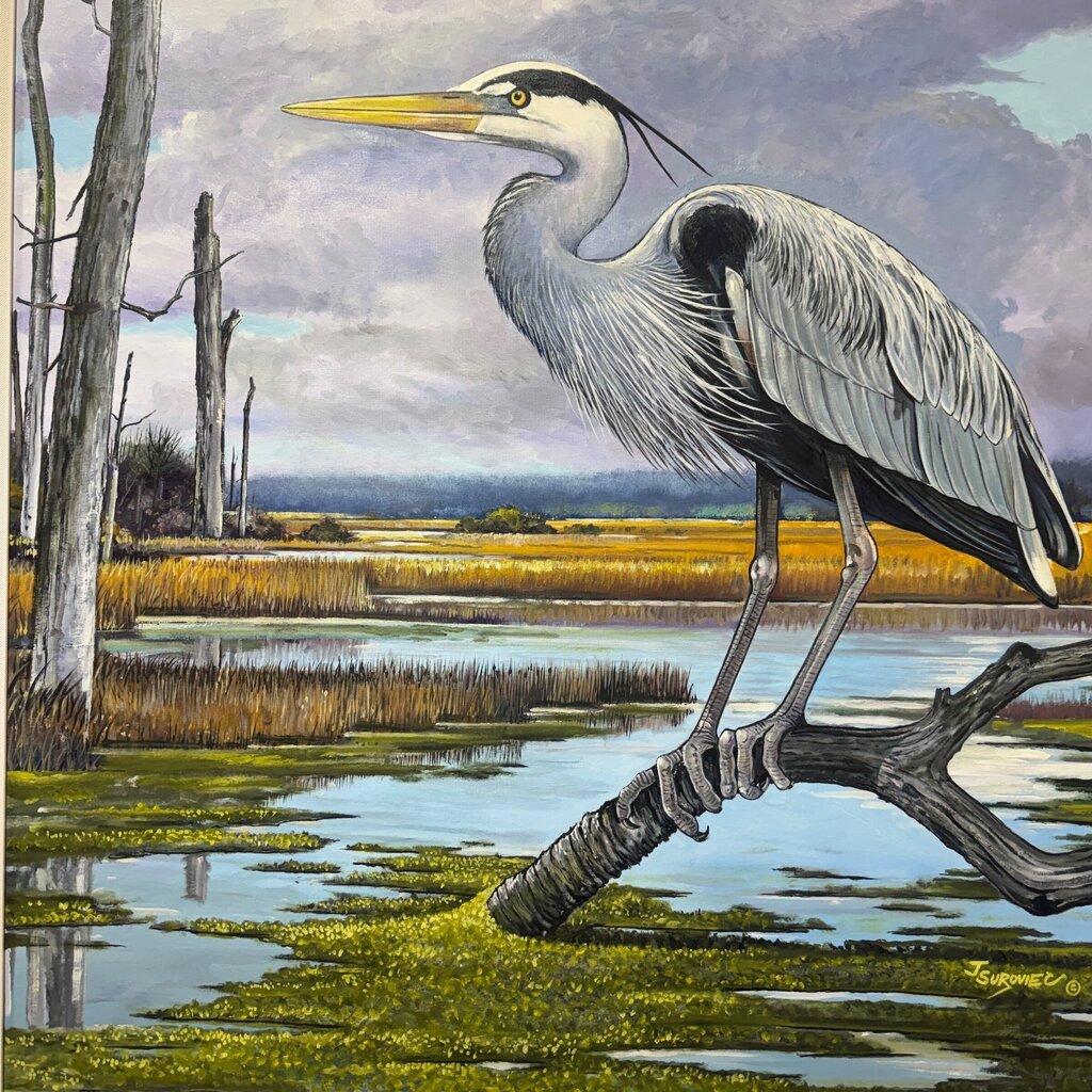 Great Blue Crane