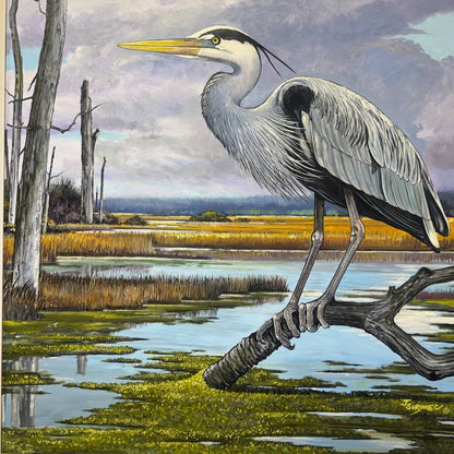 Great Blue Crane