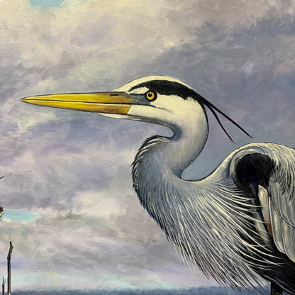 Great Blue Crane