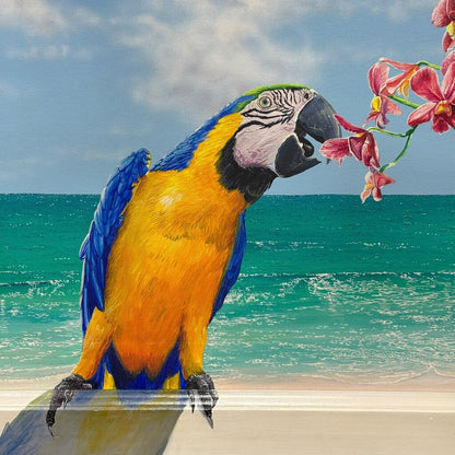 Lynn Fecteau Florida Original Painting "Parrot & Orchids" Acrylic on Canvas 42Lx30H