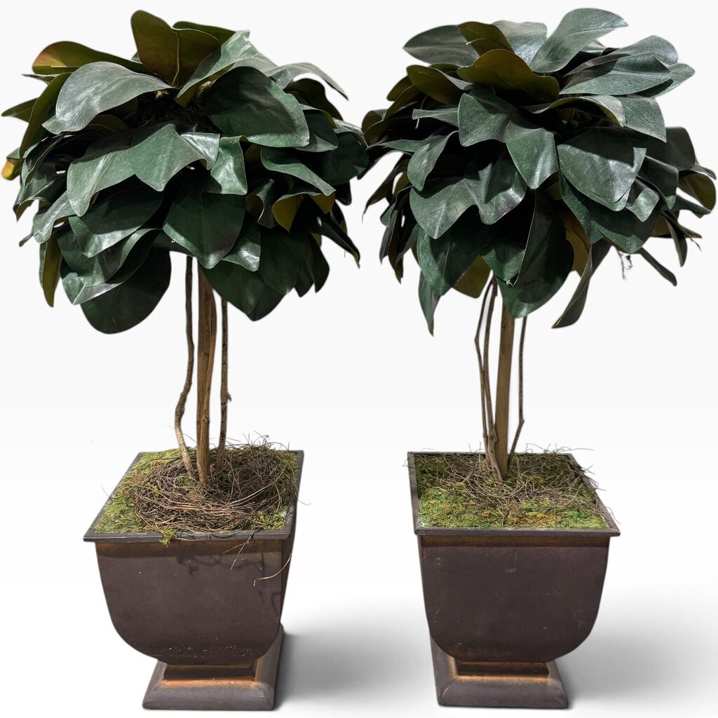 Pair of Uttermost Faux Magnolia Topiaries in Metal Planters 12Lx12Wx24H
