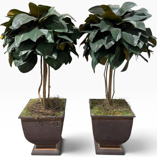 Pair of Uttermost Faux Magnolia Topiaries in Metal Planters 12Lx12Wx24H