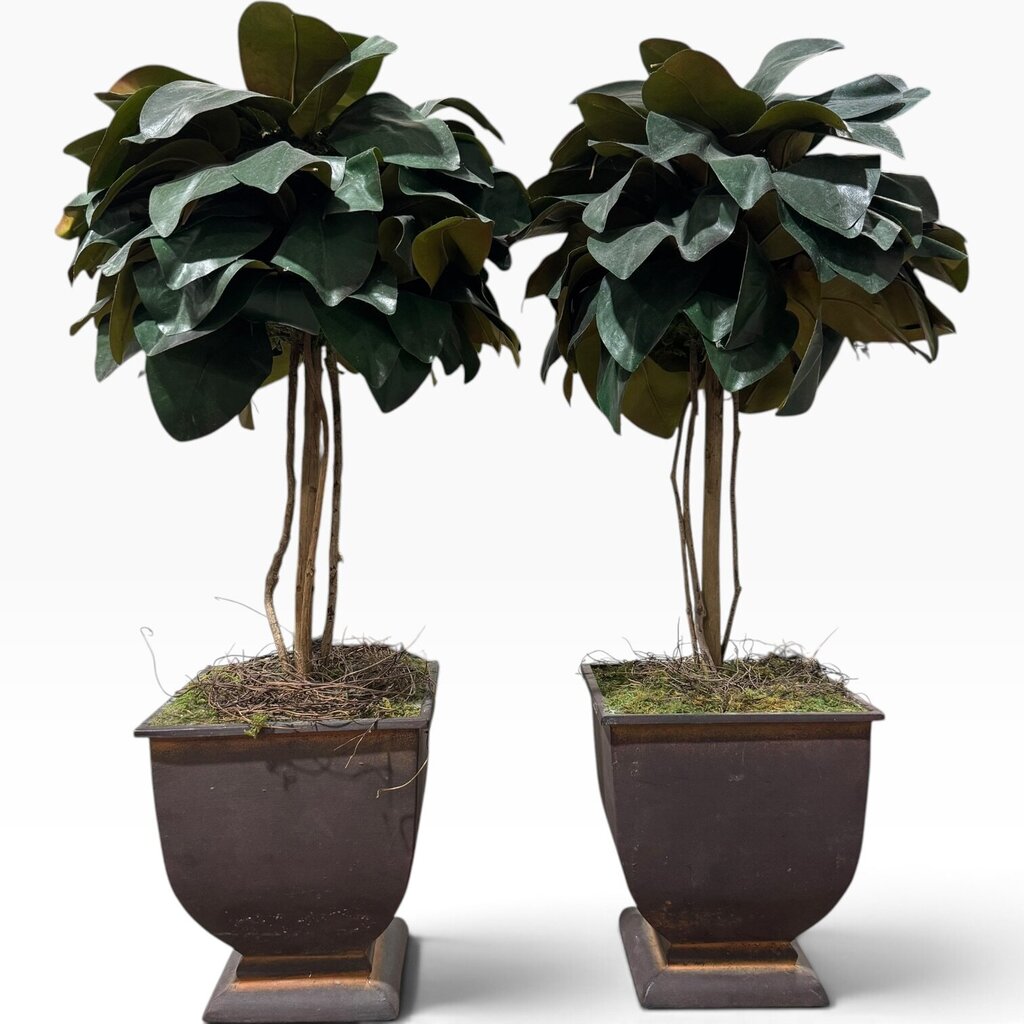 Pair of Uttermost Faux Magnolia Topiaries in Metal Planters 12Lx12Wx24H