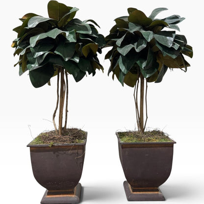 Pair of Uttermost Faux Magnolia Topiaries in Metal Planters 12Lx12Wx24H