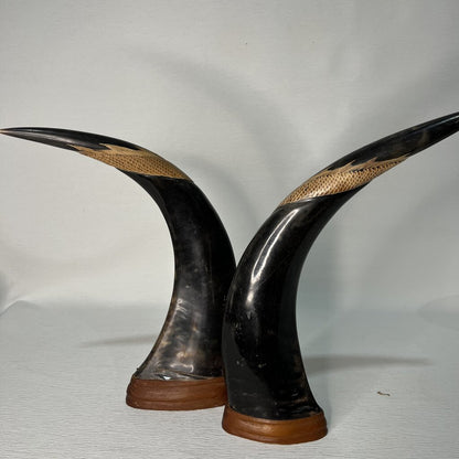 Pair of Vintage Carved Water Buffalo Horns w/ Wood Base --Tigers & Dragons, Feng Shui 16" tall